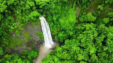 A stunning waterfall cascading down the green mountains, surrounded by lush vege Stock Footage 287774211