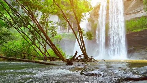 Stunning waterfall cascading from towering cliff. Stock Footage 252089091
