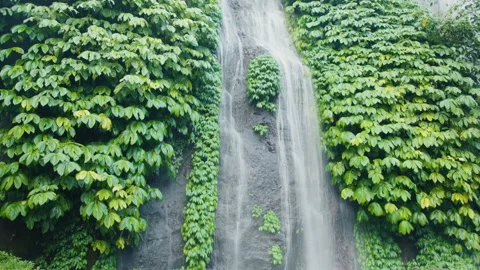 Stunning waterfall flowing down lush green cliff in tropical rainforest Stock Footage 303807450