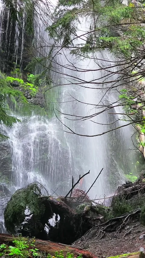 Stunning Waterfall Surrounded by Untouched Forest. Zoom out Stock-Footage 291067208