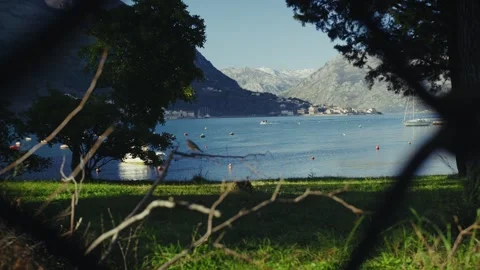 Stunning waterfront views with mountains through palms in a serene coastal Stock Footage 313731224