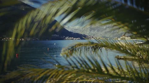 Stunning waterfront views with mountains through palms in a serene coastal Stock Footage 313731234