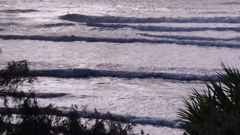 Stunning waves roll in during early morning.  Surfers behind break. Elevated vie Stock Footage 242321807