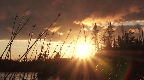 Stunning Wilderness Sunset Stock Footage 68680529