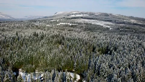 A stunning winter landscape featuring a snow-covered forest of fir trees Stock Footage 280640125