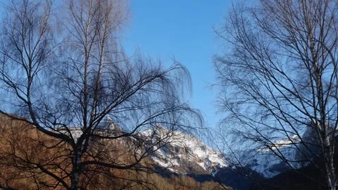 Stunning winter landscape featuring tall trees and majestic snow-capped mou.. Stock Footage 321605772