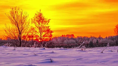 Stunning winter sunrise timelapse over snowy landscape with bare trees. Stock Footage 341138939