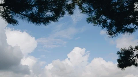 Stunningly beautiful sky. View through the branches of trees. Cool landscape. Stock Footage 121960598