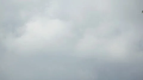A Stunt Plane flies at an Air Show, climbing, flying, trail, sport, smoke 動画素材 8548839