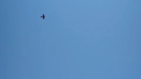 Stunt plane performing aerobatics at Stock Video Pond5