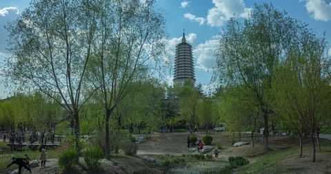 Stupa &amp; among trees 4K 動画素材 129241043