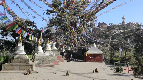 Stupa, flags and monkeys. Stock Footage 58550292