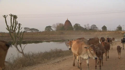 Stupa Temple in the background Stock Footage 114985150