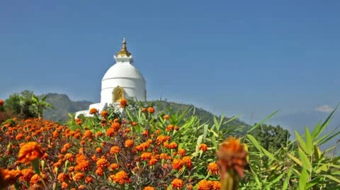 Stupa,Himalayas Stock Footage 24636301