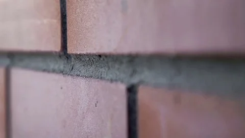 Sturdy brick wall Stock Footage 80485590