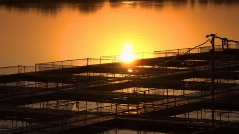 A sturgeon fishcage Stock Footage 92352103