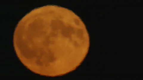 Sturgeon Moon- super moon. Stock Footage 321347106