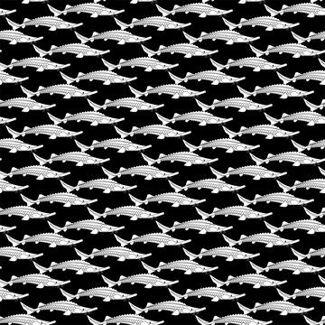 Sturgeon pattern seamless. fish background. vector texture Stock Illustration