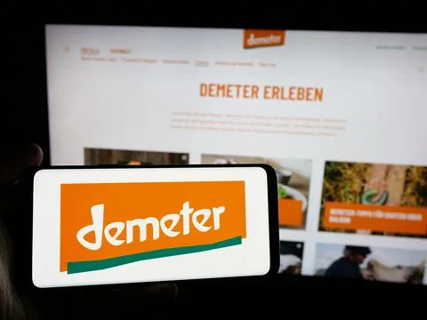 Stuttgart, Germany - 10-11-2024: Person holding smartphone with logo of Germa Stock Photos