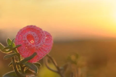 St.Valentine's Day theme Stock Photos