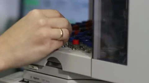 Stx 0010 Stock Footage 11137719