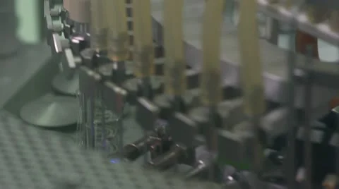 Stx 0081 Stock Footage 11137506