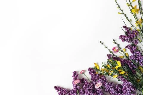 Styled stock photo. Spring botanical scene, floral composition. Decorative 스톡 사진