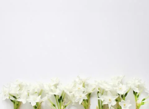Styled stock photo. Spring, Easter feminine desktop scene with pink plate 写真素材