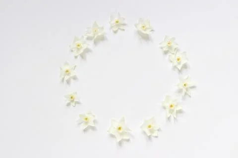 Styled stock photo. Spring, Easter feminine scene floral composition. Round 写真素材