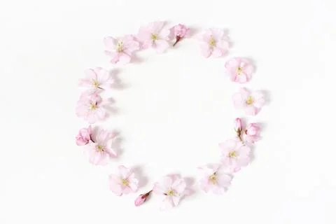 Styled stock photo. Spring, Easter feminine scene floral composition. Round 写真素材