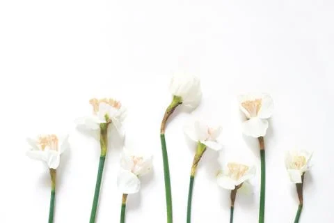 Styled stock photo. Spring, Easter composition with narcissus, daffodils flow 写真素材