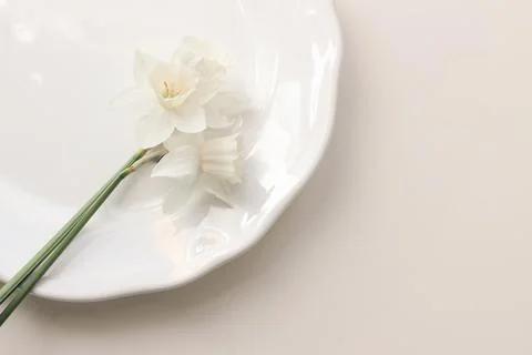 Styled stock photo. Spring, Easter feminine desktop scene with white narcissus Stockfoto's