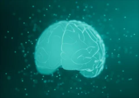 Stylised 3D Brain Stock Illustration