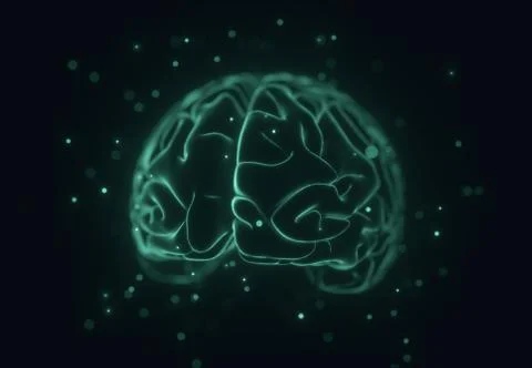 Stylised 3D Brain Stock Illustration