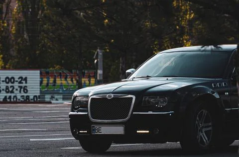 Stylish 300 Stock Photos