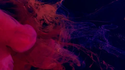 Stylish abstract modern background. Pink watercolor ink in water Stock Footage 124064886