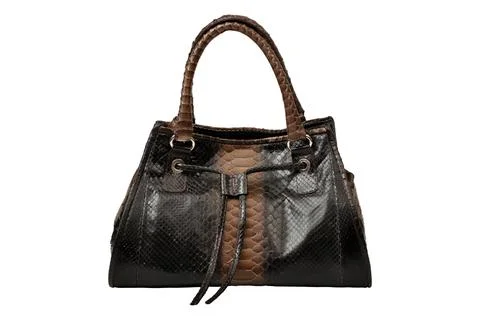 Stylish and elegant python leather ladies bag 写真素材