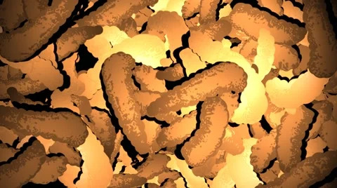 Stylish animation of maggots. Stock-Footage 58129982