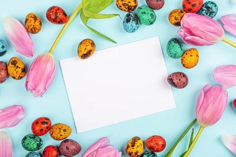 Stylish background with colorful easter eggs isolated on blue background. Fla Stock Photos