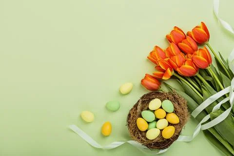 Stylish background with colorful easter eggs pastel colors isolated on green Stock Photos