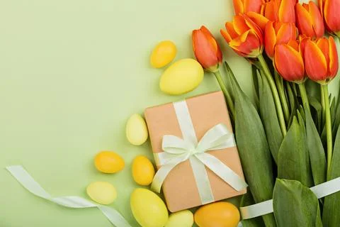 Stylish background with colorful easter eggs pastel colors isolated on green Stock Photos