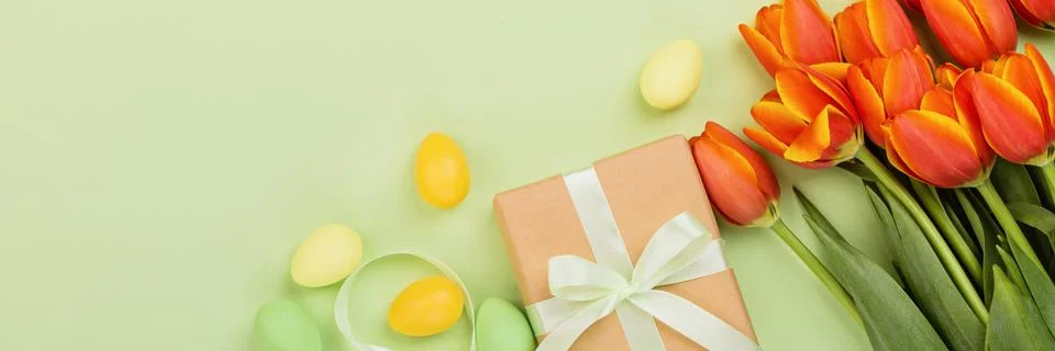Stylish background with colorful easter eggs pastel colors isolated on green Stock-Fotos