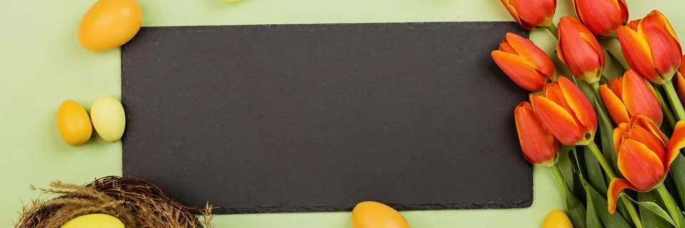 Stylish background with colorful easter eggs pastel colors isolated on green  Stock-Fotos