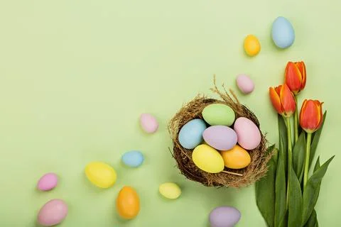 Stylish background with colorful easter eggs pastel colors isolated on green  스톡 사진