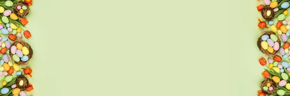 Stylish background with colorful easter eggs pastel colors isolated on green  Stock Photos