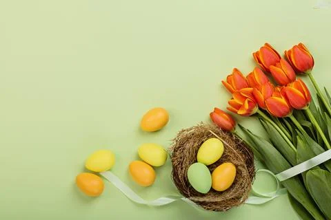 Stylish background with colorful easter eggs pastel colors isolated on green  Stock Photos