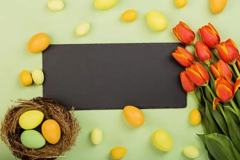 Stylish background with colorful easter eggs pastel colors isolated on green  Stock Photos