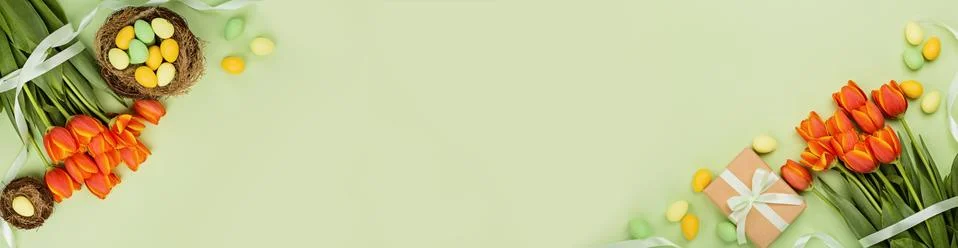 Stylish background with colorful easter eggs pastel colors isolated on green  Foto stock