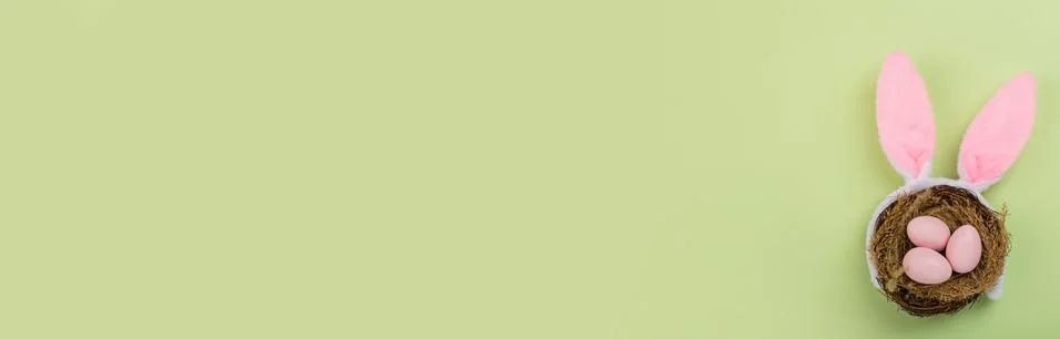 Stylish background with colorful easter eggs pastel colors isolated on green  Stock Photos