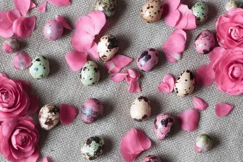 Stylish background with easter eggs and flowers Stock Photos